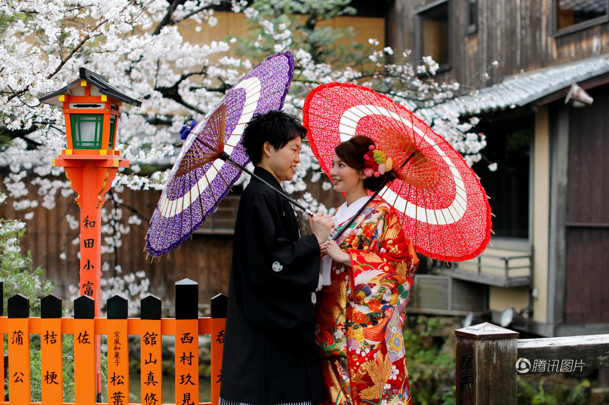 日本樱花烂漫 游客穿和服流连花海