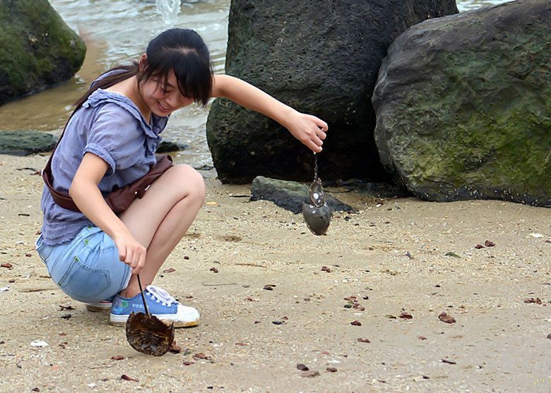 女子海边意外捡获两只