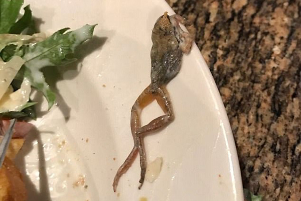 一名女子在沙拉中吃出死青蛙,试问是否要付全款?