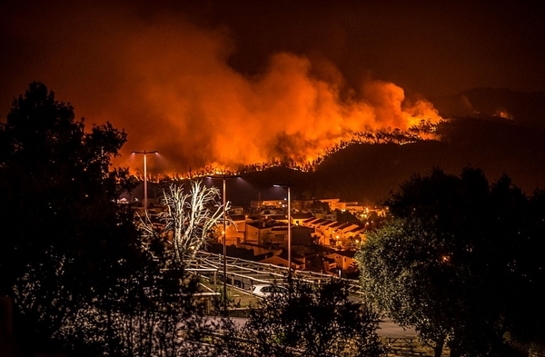 葡萄牙西班牙森林大火死伤惨重或人为所致