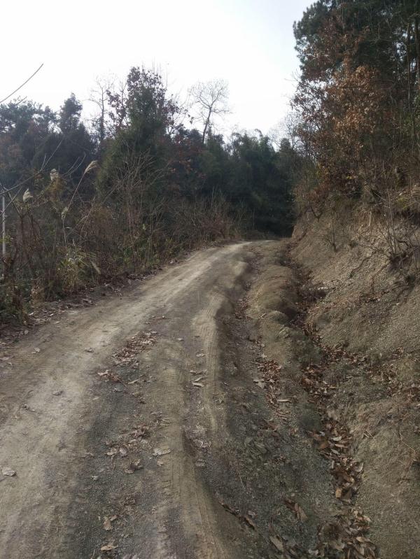 看这些车辙就知道这么陡滑的山路还是有货车开下来 生活不易"(文章