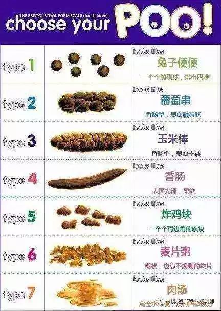 science 重口味|集齐这7种颜色的便便,你就可以召唤神龙了!