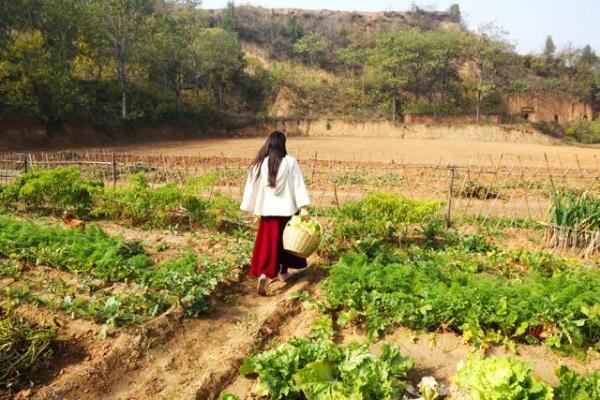 80后美女舍弃城里百万豪宅 回农村种地住窑洞!