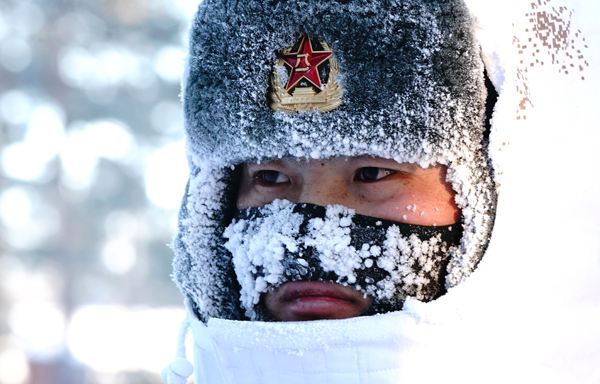 我为祖国守边防丨北极哨兵:挺立在风雪中的北极杨