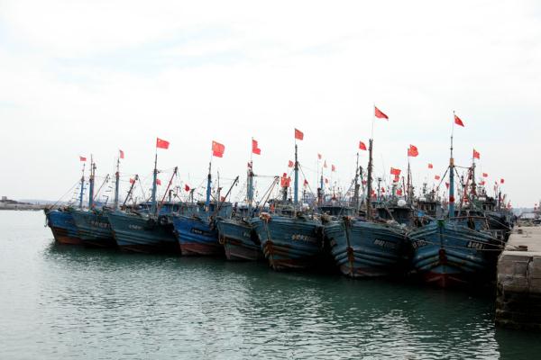 山东青岛:休渔期未到渔船提前歇伏 小海鲜成