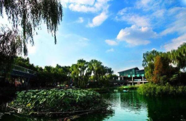 门票一降到底!济南这些景区全部免费,快带好身