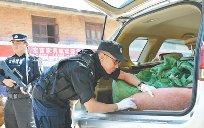 凤庆多少人口_凤庆粑粑卷图片(3)