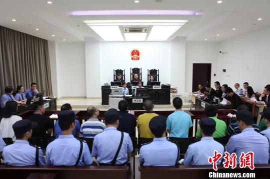 广州南沙法院公开开庭审理一起组织、领导传销案