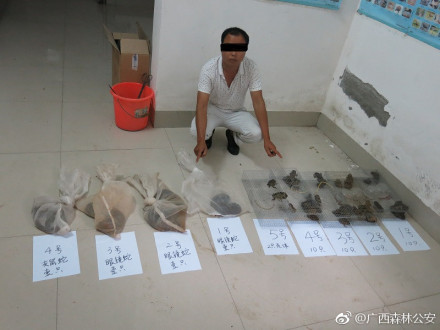 广西一男子捕获51只野生动物 QQ群上售卖被刑