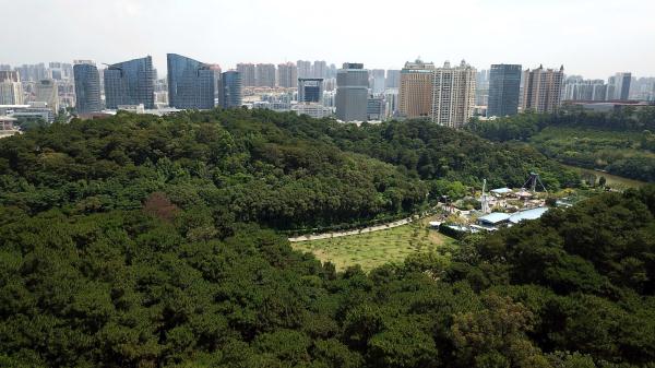 南宁: 绿色气质 提升 城市颜值 _广西_光明网