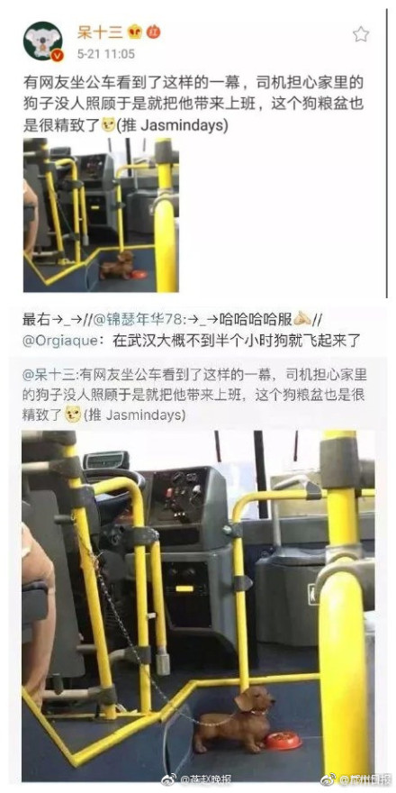 武漢的公交車 飛一般的感覺