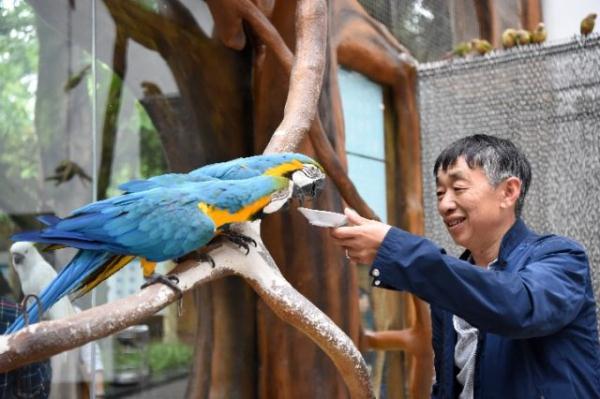 重庆动物园鹦鹉苑开园 人鸟亲密接触