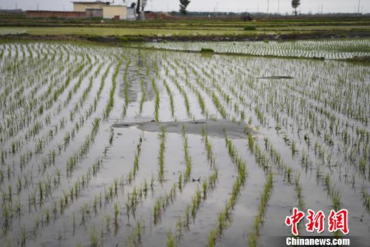 吉林松原震后出现砂土液化现象 地震专家现场