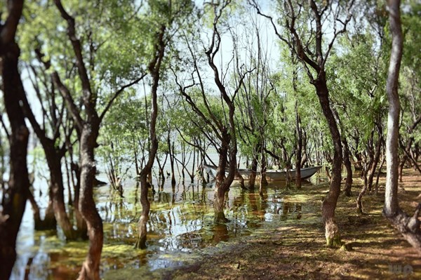 江西森林和湿地生态价值1.49万亿元