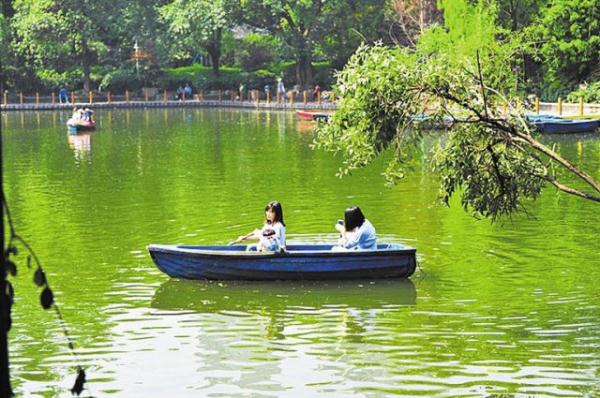 人民公園 資料圖片 上世紀70年代,當時就讀于陜西街小學的劉芳經常到人民公園春游,形式和現在差不多,也是小朋友自己帶吃的一起分享。當時物資比較匱乏,沒有什么特別的東西,饅頭、水果糖已經是非常美味的食物了,早晨家里的蜂窩煤爐子熄了之后把饅頭放上去,用余溫烤一下,那味道勝過如今任何山珍海味。有些同學家里會做點涼拌三絲之類的菜,特別受歡迎,很快就會被一搶而空。 劉芳算是班里最洋盤的,因為她有個親戚在文華食品廠工作,她可以帶一些小糕點,從書包里拿出來的時候,感覺小面包都閃著金光,同學全部投來羨慕的