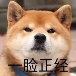 【海头条】热带低压预计5日-6日登陆或擦过海