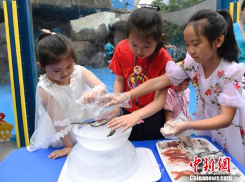 成都小海狮小五的第一个儿童节 蛋糕全是肉