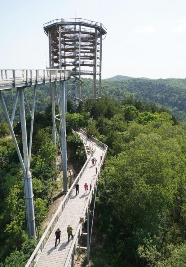 退耕还林20年 延安大地谱新篇