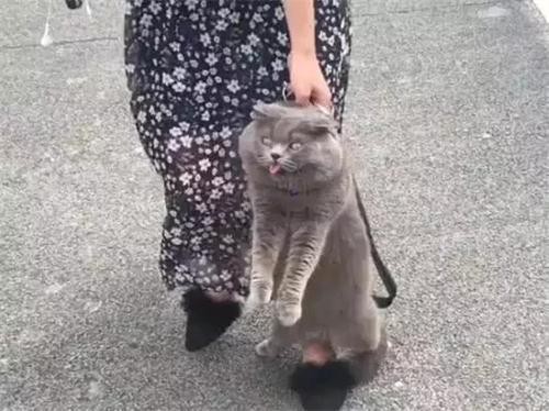美女一瘸一拐不顾形象,手里拎的这货却引来众人围观