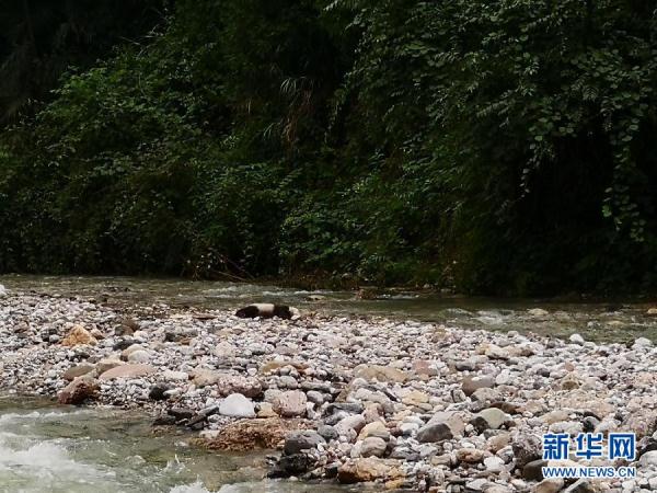 暴雨中，这些感人瞬间，温暖每一个人&hellip;&hellip;