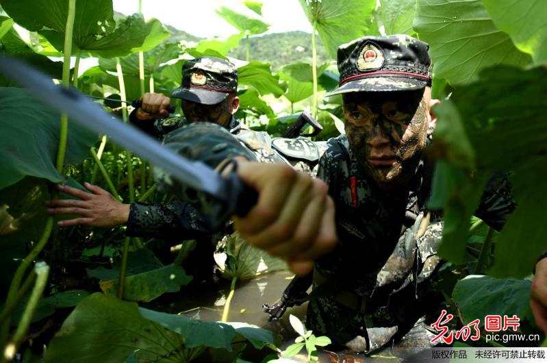 武警安徽总队入伏淬火砺精兵