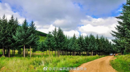 绝美塞罕坝，每一张都美的像壁纸