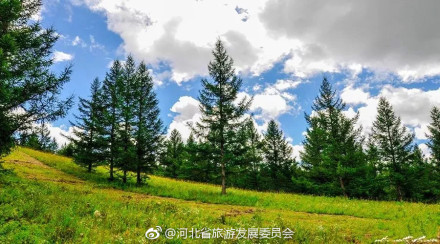 绝美塞罕坝，每一张都美的像壁纸
