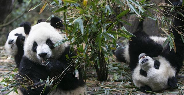 天津:本月小客车增量指标申请资格审核结果发布(最新发布)