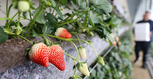 天津:本月小客车增量指标申请资格审核结果发布(最新发布)