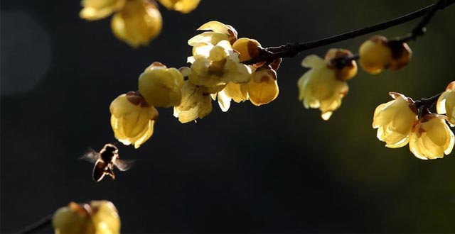 中小学教师资格考试笔试今起报名(最新发布)