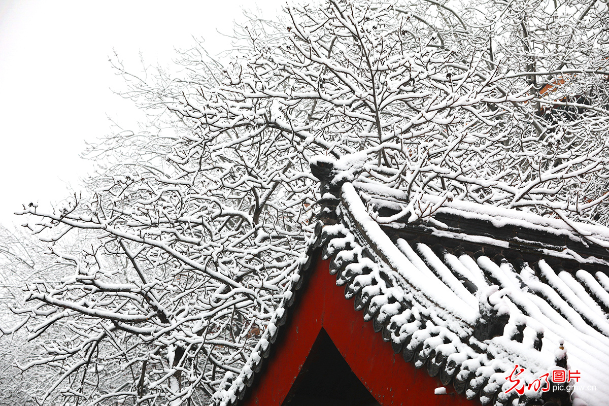 2020年北京首场雪 600年故宫成摄影打卡地