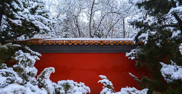 中小学教师资格考试笔试今起报名(最新发布)