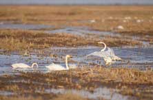 南昌打击房屋建筑及市政工程串通投标行为 违者将被停业整顿(最新发布)