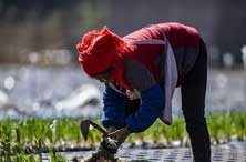 南昌打击房屋建筑及市政工程串通投标行为 违者将被停业整顿(最新发布)