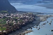 北京：中小学期末考试不得增加难度（最新发布）