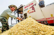 河北新增确诊15例 累计确诊33例(最新发布)