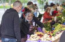 河北新增确诊15例 累计确诊33例(最新发布)