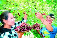 进一步便利银行间 债市外汇风险管理(最新发布)