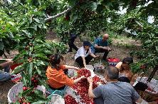 进一步便利银行间 债市外汇风险管理(最新发布)