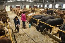 进一步便利银行间 债市外汇风险管理(最新发布)