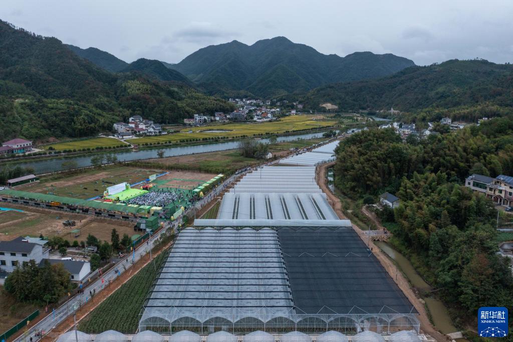 正文 10月16日,在浙江省建德市蔬果小镇—航头镇航川村特色农业