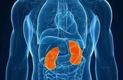 睡前应该多喝水，还是少喝水？最养生的做法是什么？别再错下去了