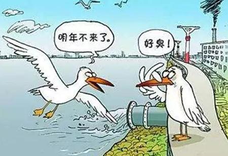 孩子一出生就有血管瘤, 和“妈妈”有关系吗? 孩子一出生就有血管瘤, 和“妈妈”有关系吗?