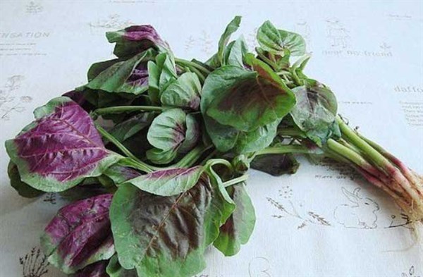 女性擔心長皺紋,可以常吃3種食物,補充氣血、淡化皺紋!