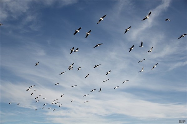 那些励志唯美的句子,催人奋进,激励人心!