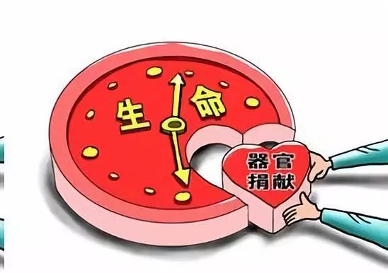 一个人的篮球队,让无数人泪目