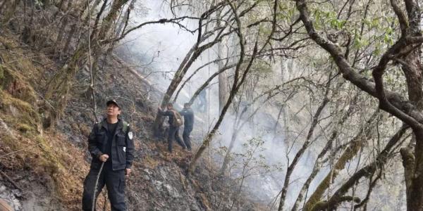 新闻调查丨木里森林火灾起火点是怎样找到的?