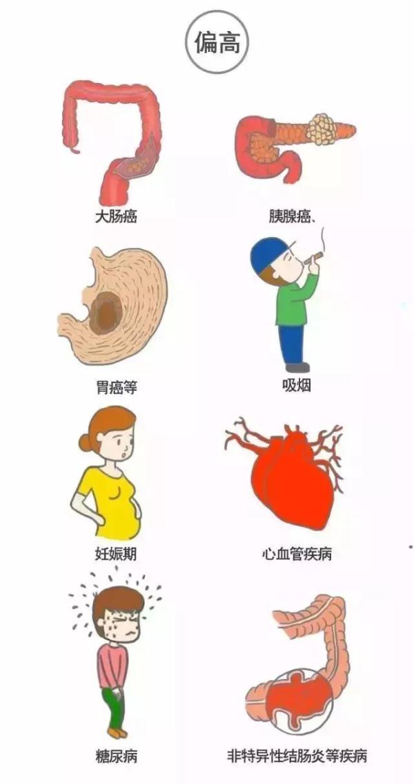 与乳腺癌等恶性肿瘤相关的抗原