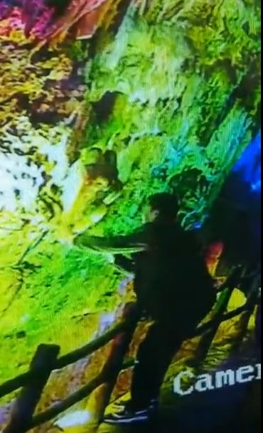 掰断偷走百万年钟乳石游客落网!2人刑拘,1人被