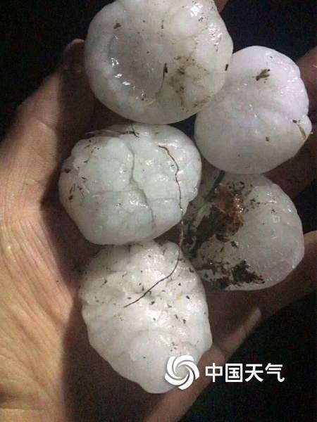 鸡蛋大冰雹袭击河北遵化 汽车被砸“满脸花” 鸡蛋大冰雹袭击河北遵化 汽车被砸“满脸花”